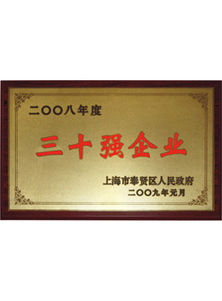 信基2008年度三十強(qiáng)企業(yè)證書(shū)