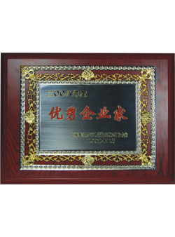 信基2008年度優(yōu)秀企業(yè)家證書(shū)